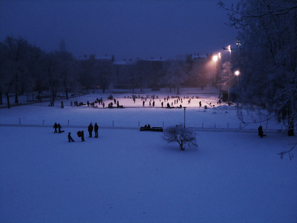 Vasaparken_LAND_2007_vinter
